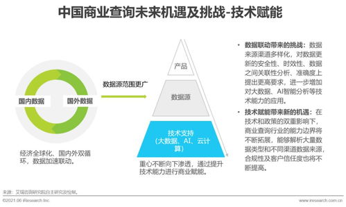 2021年中國商業(yè)查詢發(fā)展研究報(bào)告